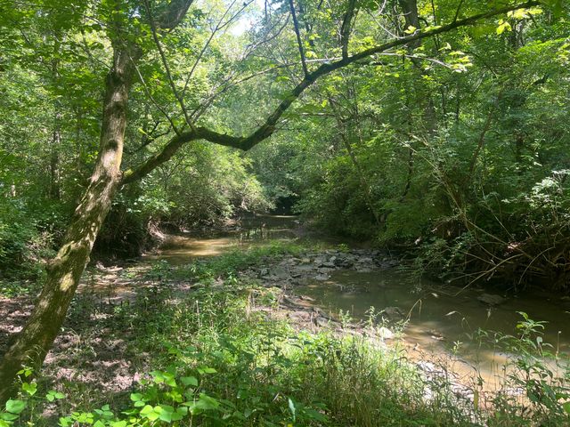 0 Ky-1316 Lane, Sparta, KY 41086