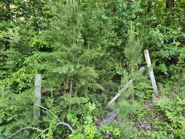 00 Hixson Road, Dunlap, TN 37327