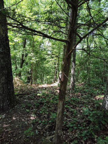 00 Hixson Road, Dunlap, TN 37327