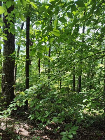 00 Hixson Road, Dunlap, TN 37327