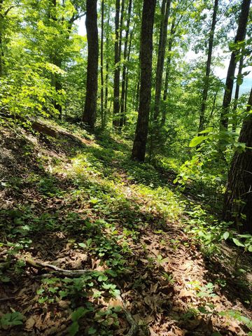 00 Hixson Road, Dunlap, TN 37327