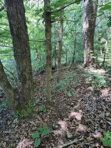 00 Hixson Road, Dunlap, TN 37327