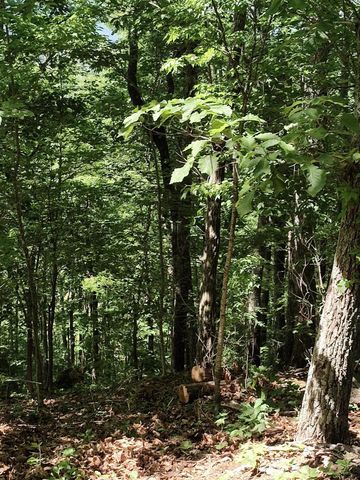00 Hixson Road, Dunlap, TN 37327