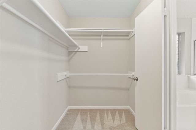 4335 Sugar Bars Drive, Friendswood, TX 77546