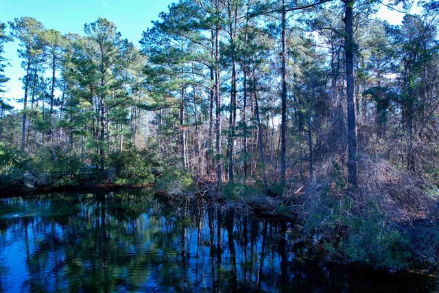 10 Lots - Dragooon Ct., Georgetown, SC 29440