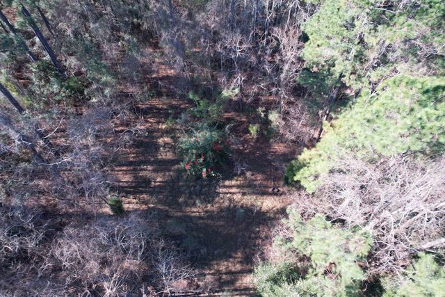 10 Lots - Dragooon Ct., Georgetown, SC 29440