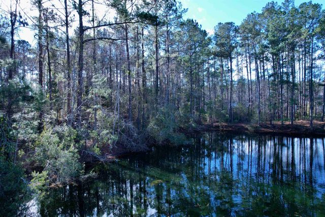 10 Lots - Dragooon Ct., Georgetown, SC 29440