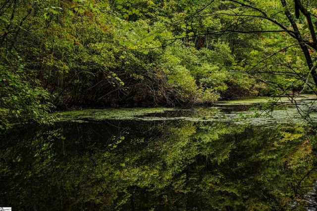 S. Packs Mtn Road, Taylors, SC 29687