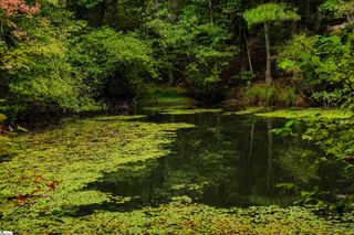 S. Packs Mtn Road, Taylors, SC 29687