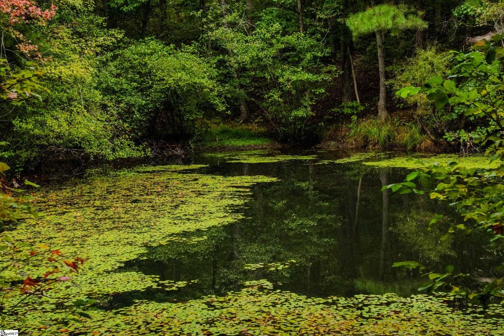 S. Packs Mtn Road, Taylors, SC 29687