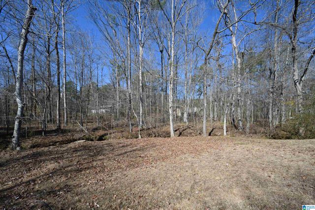 512 BARON CIRCLE, Chelsea, AL 35043