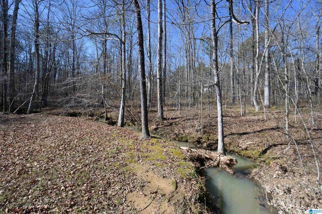 512 BARON CIRCLE, Chelsea, AL 35043