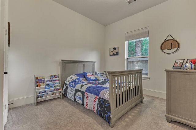 127 Stellar Hills Court, Willis, TX 77318