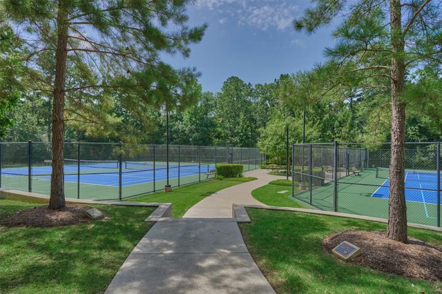 127 Stellar Hills Court, Willis, TX 77318