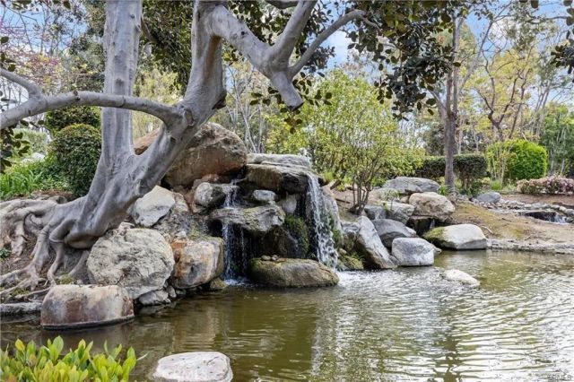 163 Pineview, Irvine, CA 92620