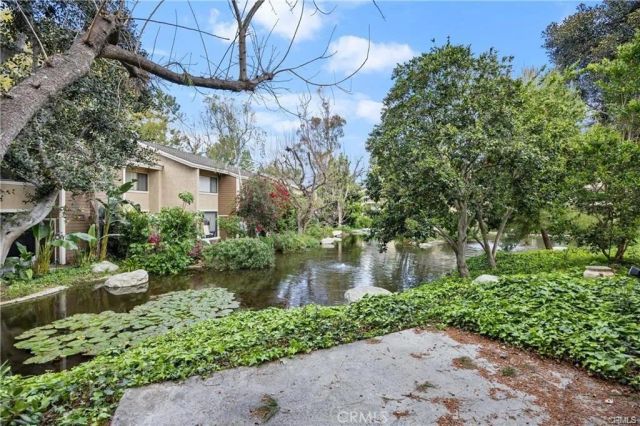 163 Pineview, Irvine, CA 92620