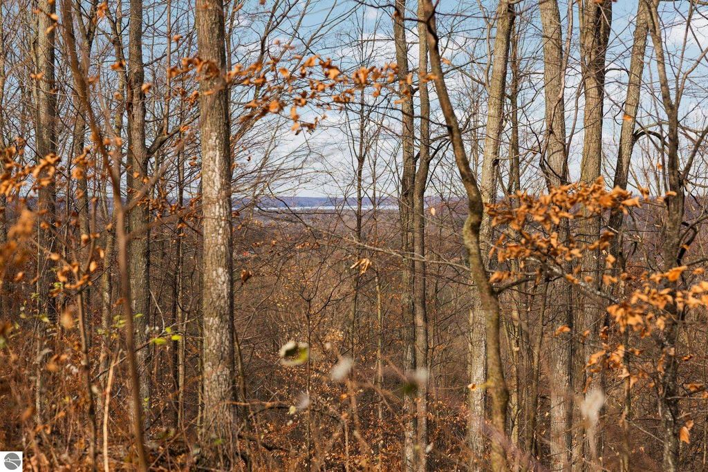 Image 9 of property listing at Lot F Retreats Way, Rapid City, MI 49676