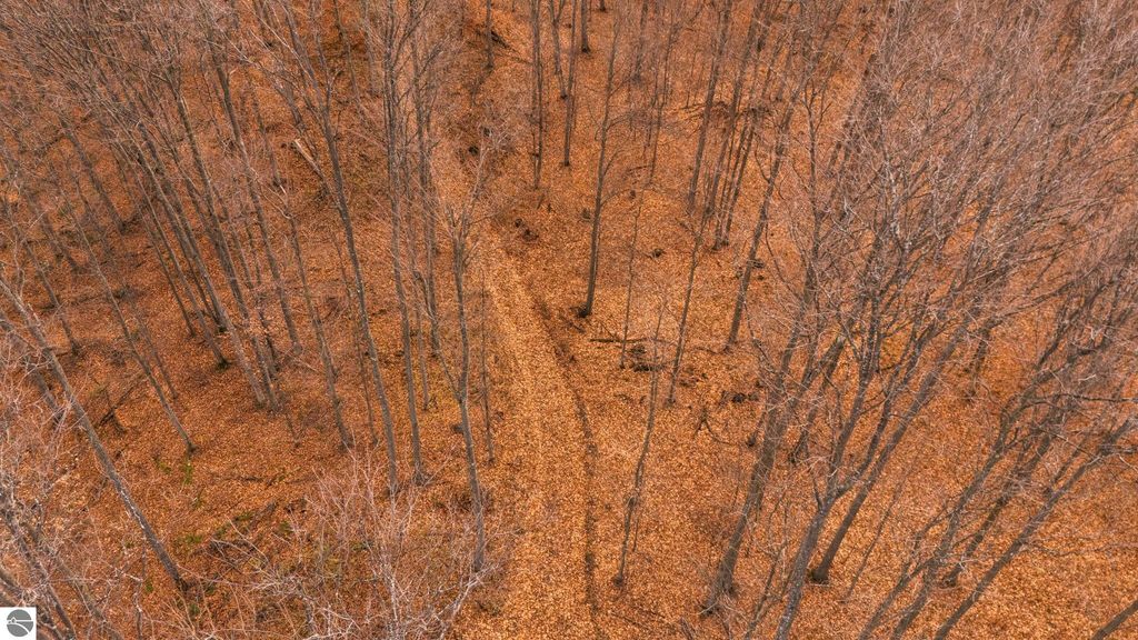 Image 14 of property listing at Lot F Retreats Way, Rapid City, MI 49676