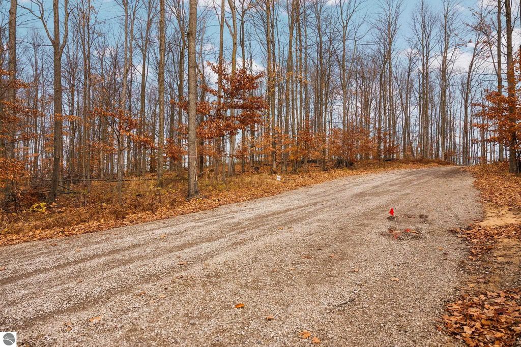 Image 4 of property listing at Lot F Retreats Way, Rapid City, MI 49676