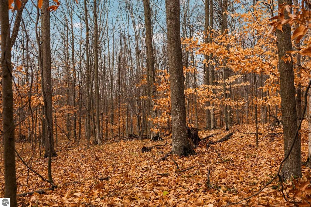 Image 6 of property listing at Lot F Retreats Way, Rapid City, MI 49676