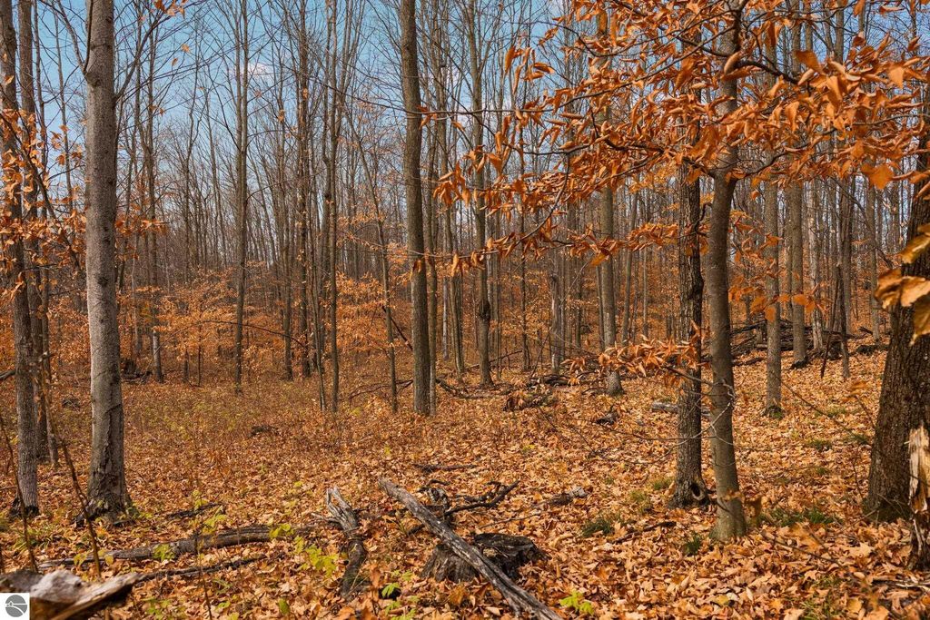 Image 7 of property listing at Lot F Retreats Way, Rapid City, MI 49676