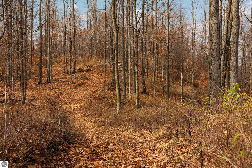 Image 8 of property listing at Lot F Retreats Way, Rapid City, MI 49676