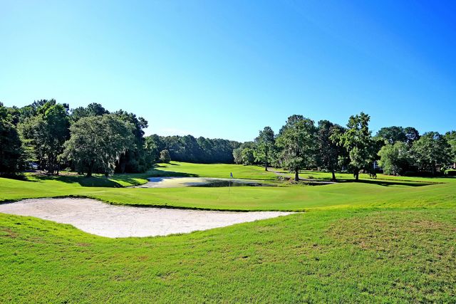 41 Indigo Lane, Goose Creek, SC 29445