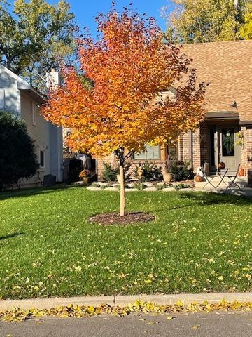 18719 Clear View Drive, Minnetonka, MN 55345