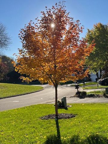 18719 Clear View Drive, Minnetonka, MN 55345