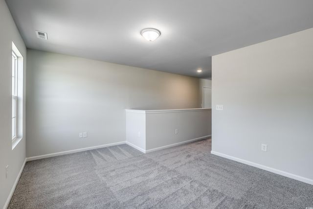 420 Atamasco Ct., Conway, SC 29526