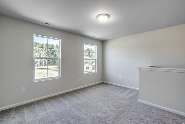 420 Atamasco Ct., Conway, SC 29526