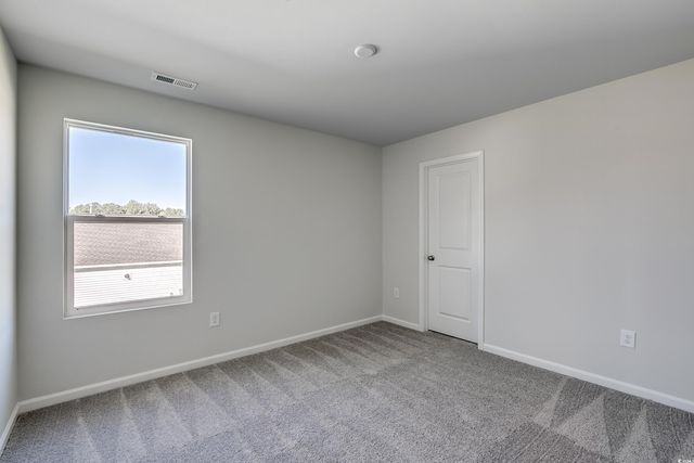 420 Atamasco Ct., Conway, SC 29526
