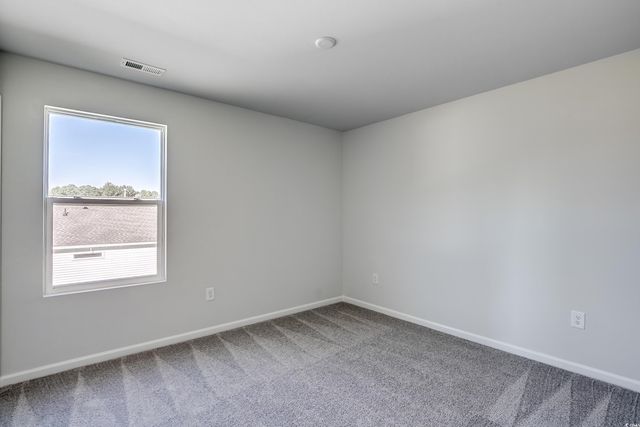 420 Atamasco Ct., Conway, SC 29526