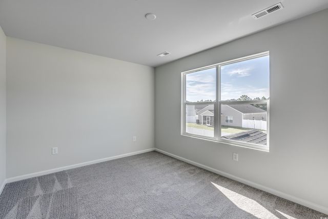 420 Atamasco Ct., Conway, SC 29526