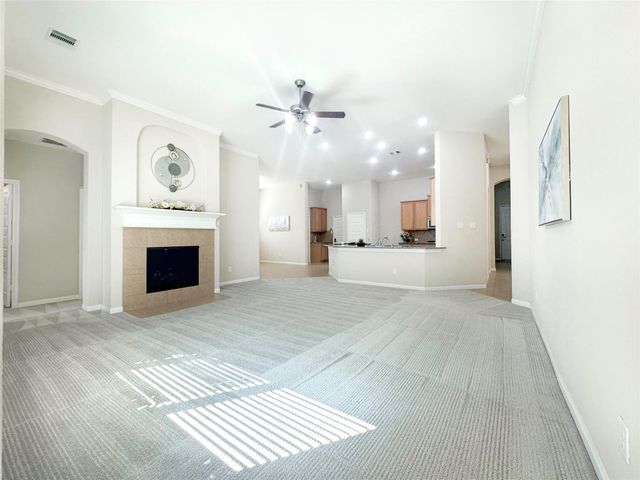 22214 Meandering Springs Drive, Spring, TX 77389