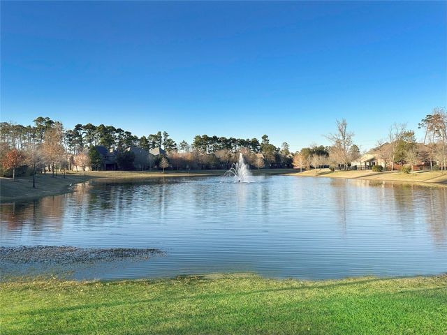 22214 Meandering Springs Drive, Spring, TX 77389