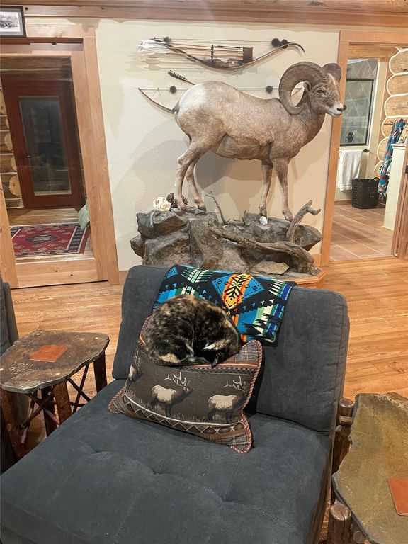 1134 Marshall Creek Road, Philipsburg, MT 59858 photo 29