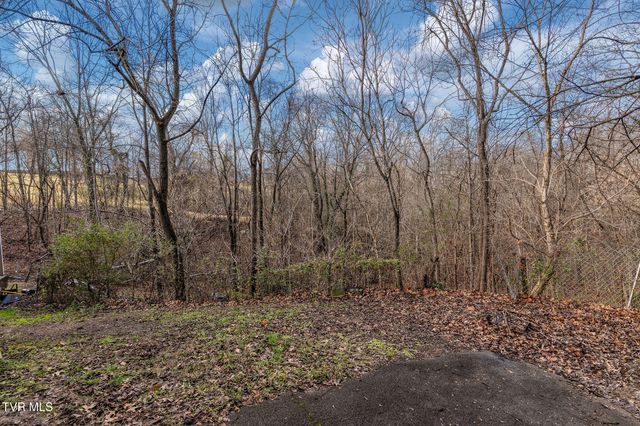 1828 Avalon Street, Kingsport, TN 37664