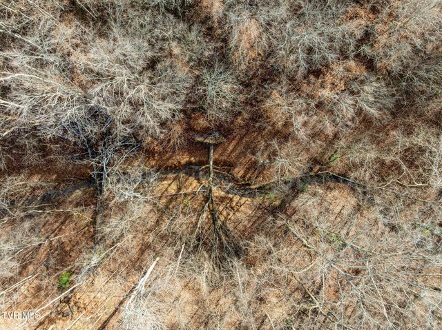 1828 Avalon Street, Kingsport, TN 37664