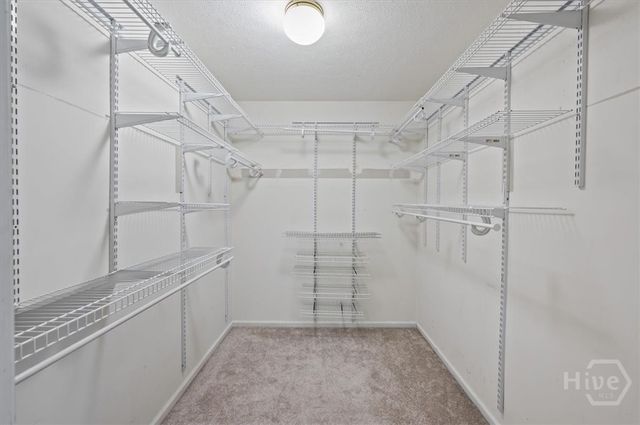 375 Hermitage Drive, Richmond Hill, GA 31324