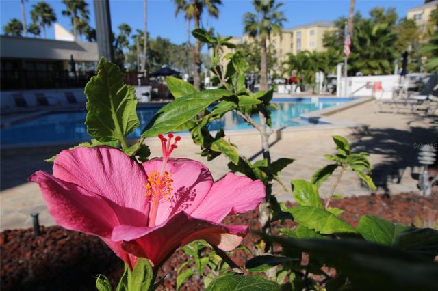 401 150TH AVENUE 223, Madeira Beach, FL 33708