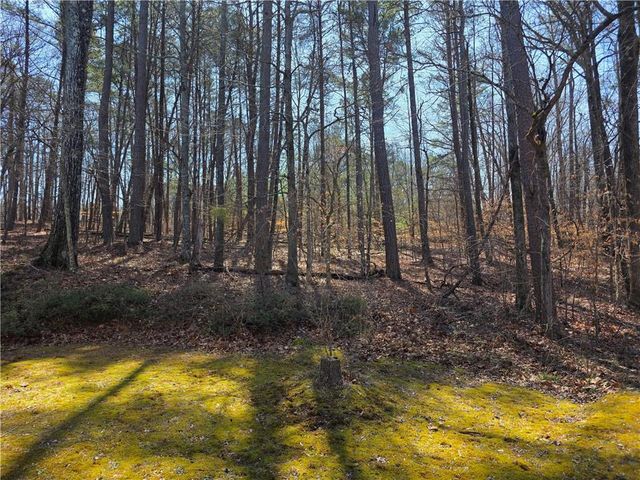 597 Arbor Ridge Drive, Stone Mountain, GA 30087