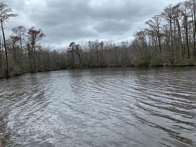 238 Plumtree Circle, Edenton, NC 27932