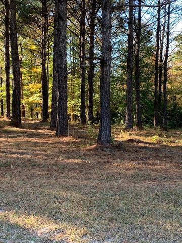 238 Plumtree Circle, Edenton, NC 27932