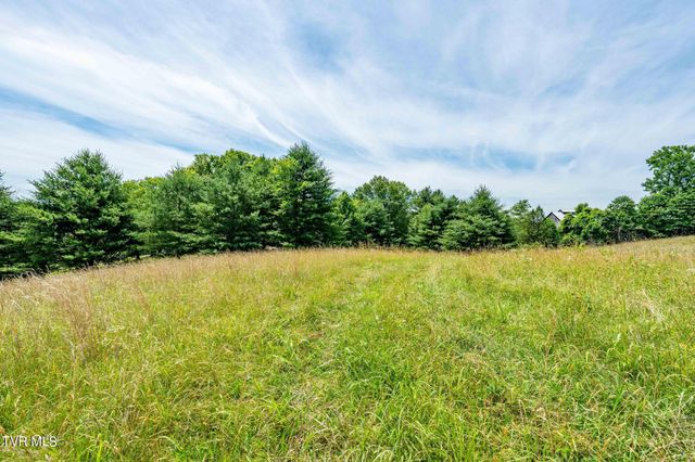 0 Eaton Station Road, Kingsport, TN 37664