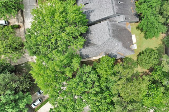 18 Endor Forest Place, The Woodlands, TX 77382