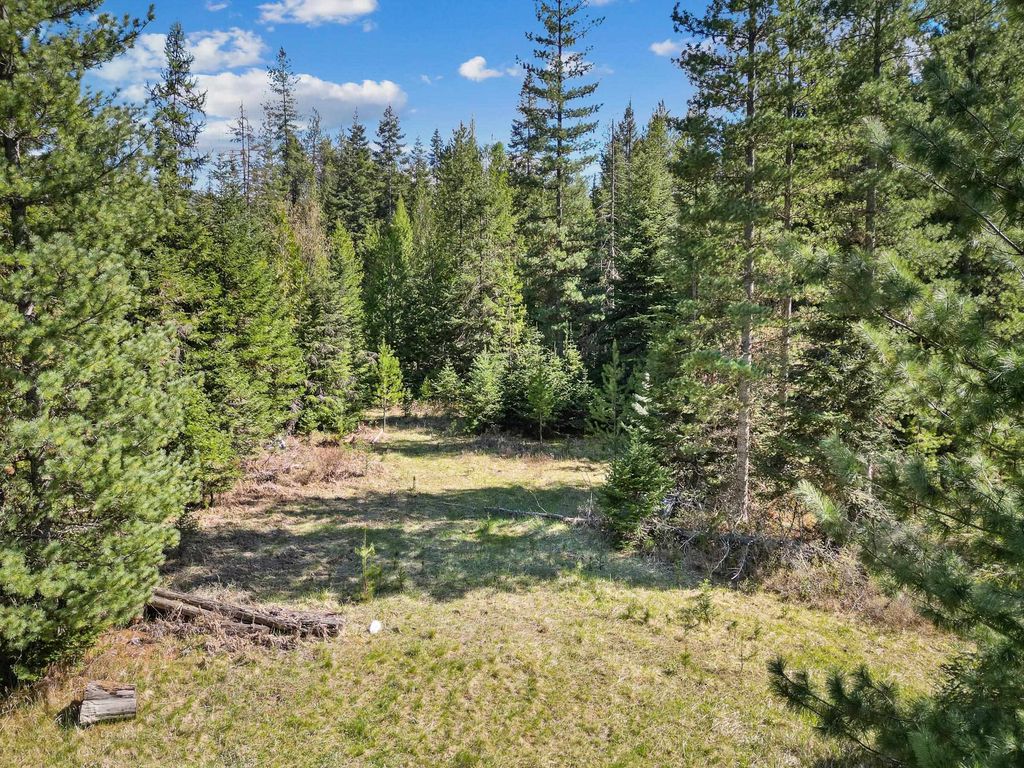 397759 State Rte 20 Hwy, Cusick, WA 99119 photo 4