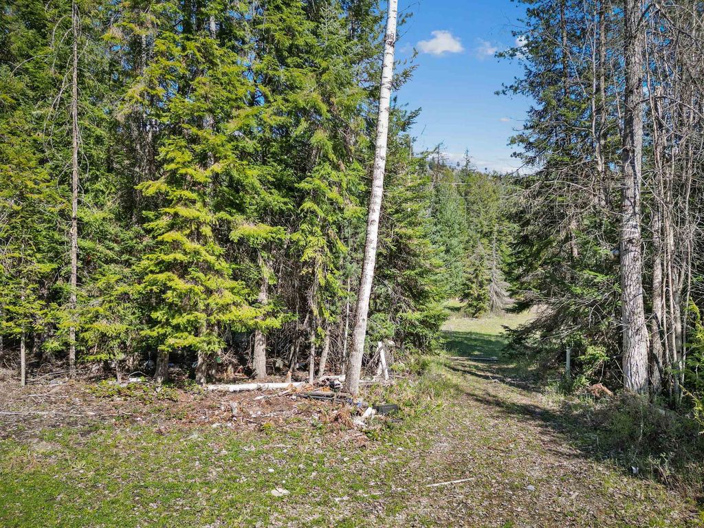 397759 State Rte 20 Hwy, Cusick, WA 99119 photo 6