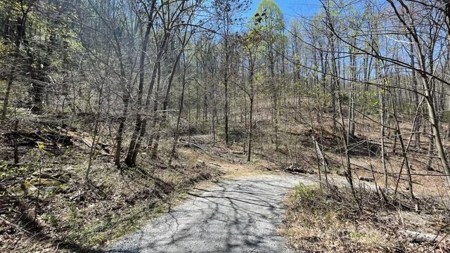 10.02 Acres TBD Rock Garden Road, Black Mountain, NC 28711