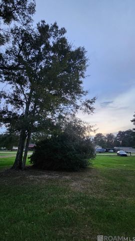 35238 Curtis Dr, Denham Springs, LA 70706